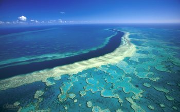 Great Barrier Reef in Australia